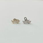 Micro Dermal Cluster Titânio/TDA438