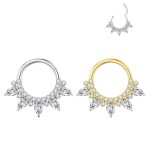 Argola Titânio Com Pedras/T396