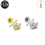 Labret Coroa Titânio/T644