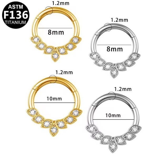 Piercing Argola Titânio Zircônia Cravejada/702 - Imagem 1