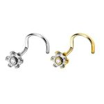 Piercing Nostril Titânio Flor 6 Pétalas /T692