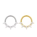 Piercing Argola Titânio Segmento Articulado Zircônia Cravejada/T769