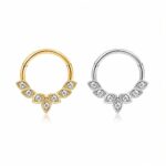 Piercing Argola Titânio Zircônia Cravejada/702