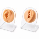 Expositor De Silicone com Acrílico Orelha/E965