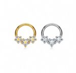 Piercing Argola Titânio Segmento Articulado Zircônia Cravejada Flor/T987